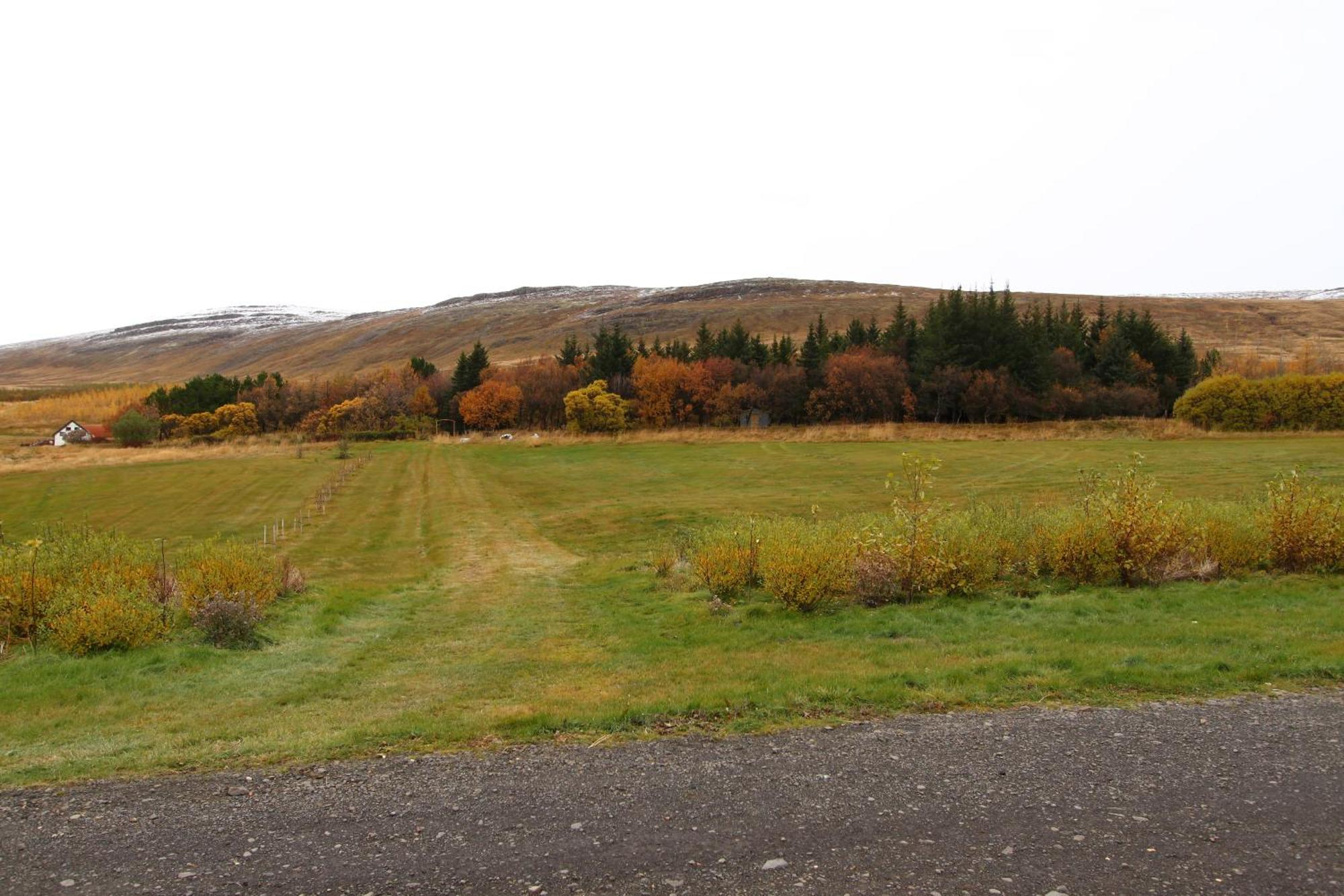 Steindorsstadir, West Iceland