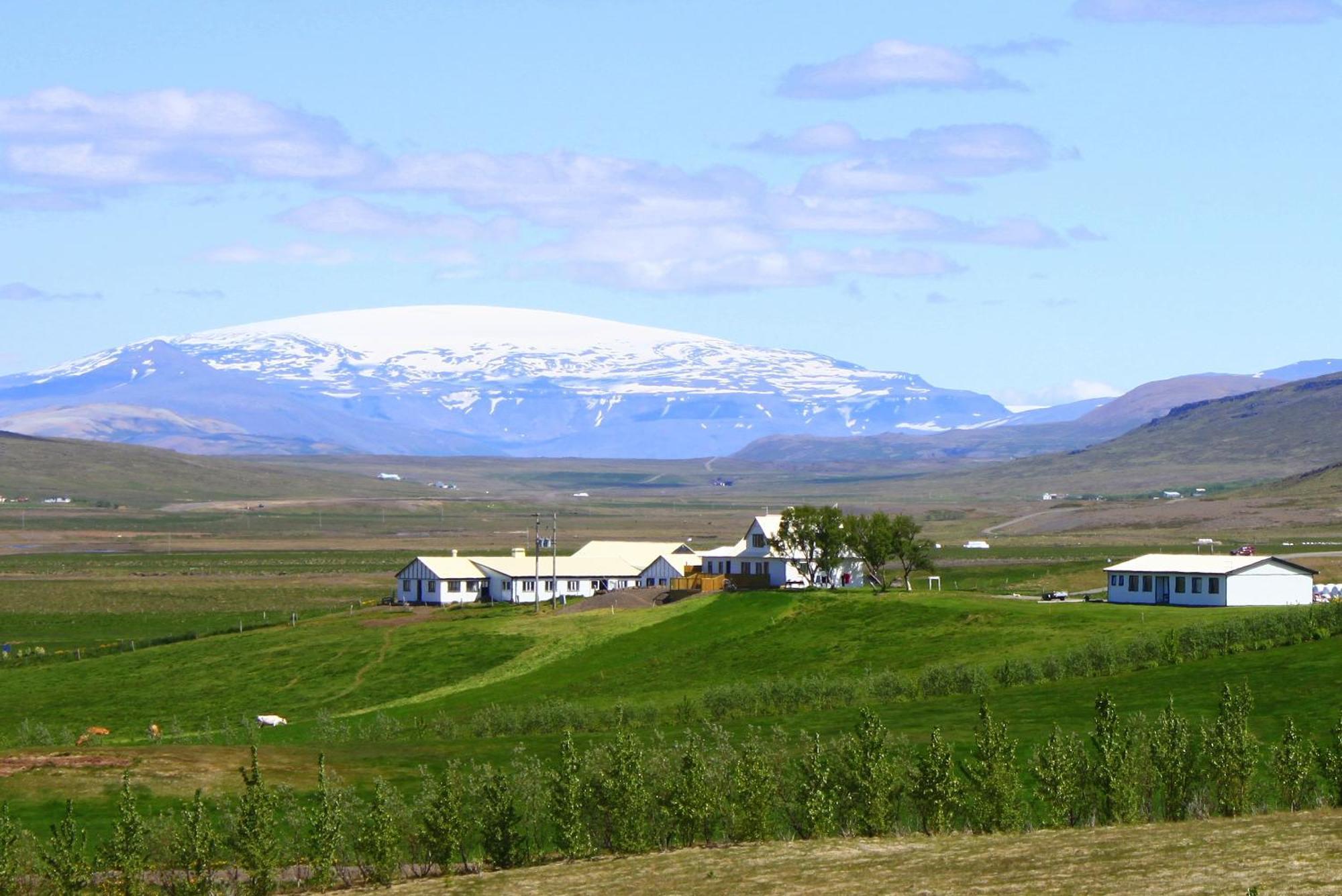 Steindorsstadir, West Iceland Séjour à la ferme *