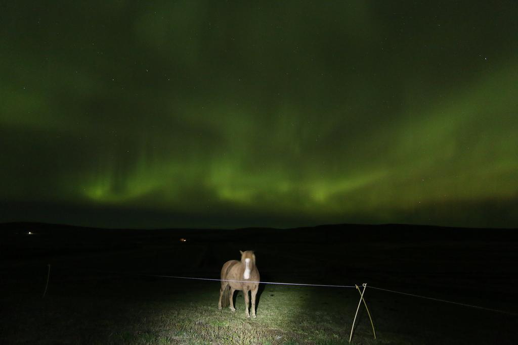 Séjour à la ferme Steindorsstadir, West Iceland *